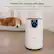 Perfect for homes with pets
Protects your home from common pet odors & allergens* such as dander, fur, and more.
Shark
CLEAN SENSE 10
*Allergens refers to non-living matter.