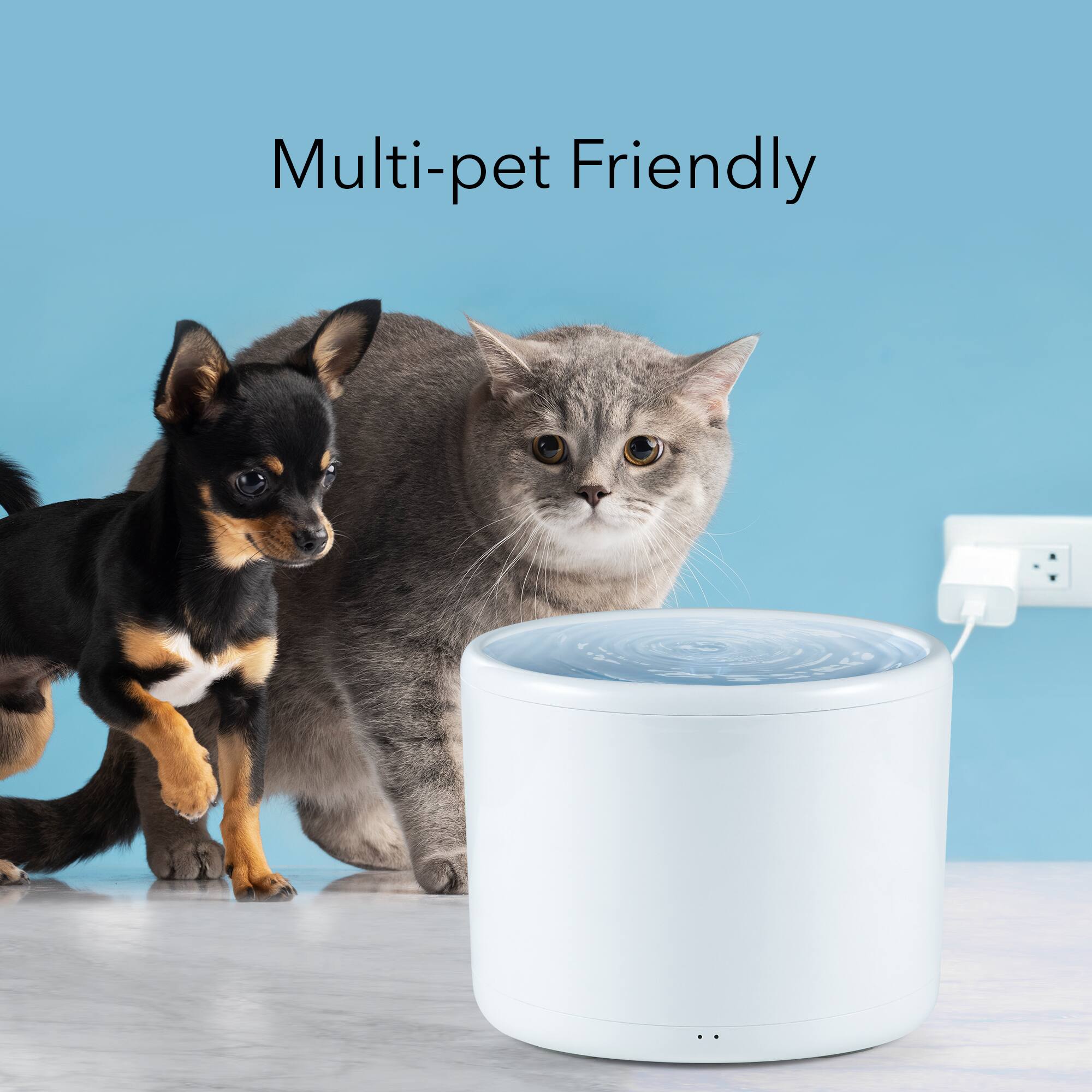 Multi-pet Friendly