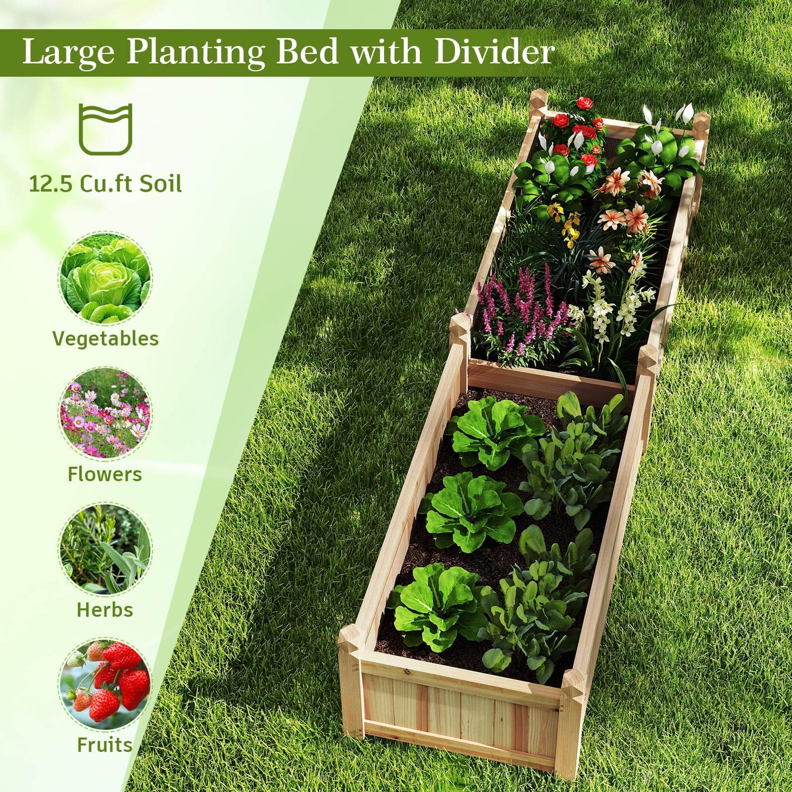 Large Planting Bed with Divider

12.5 Cu.ft Soil

- Vegetables
- Flowers
- Herbs
- Fruits