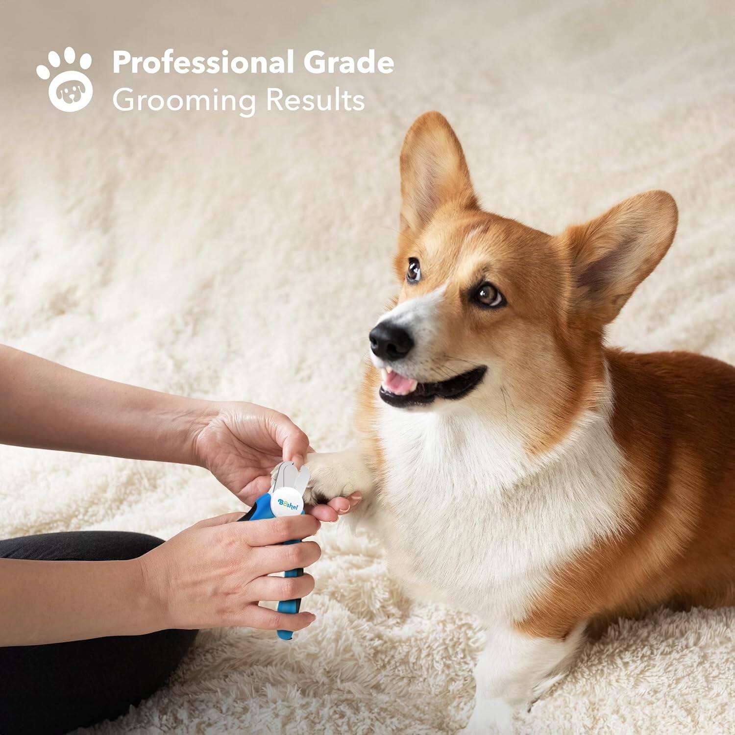 Professional Grade Grooming Results
