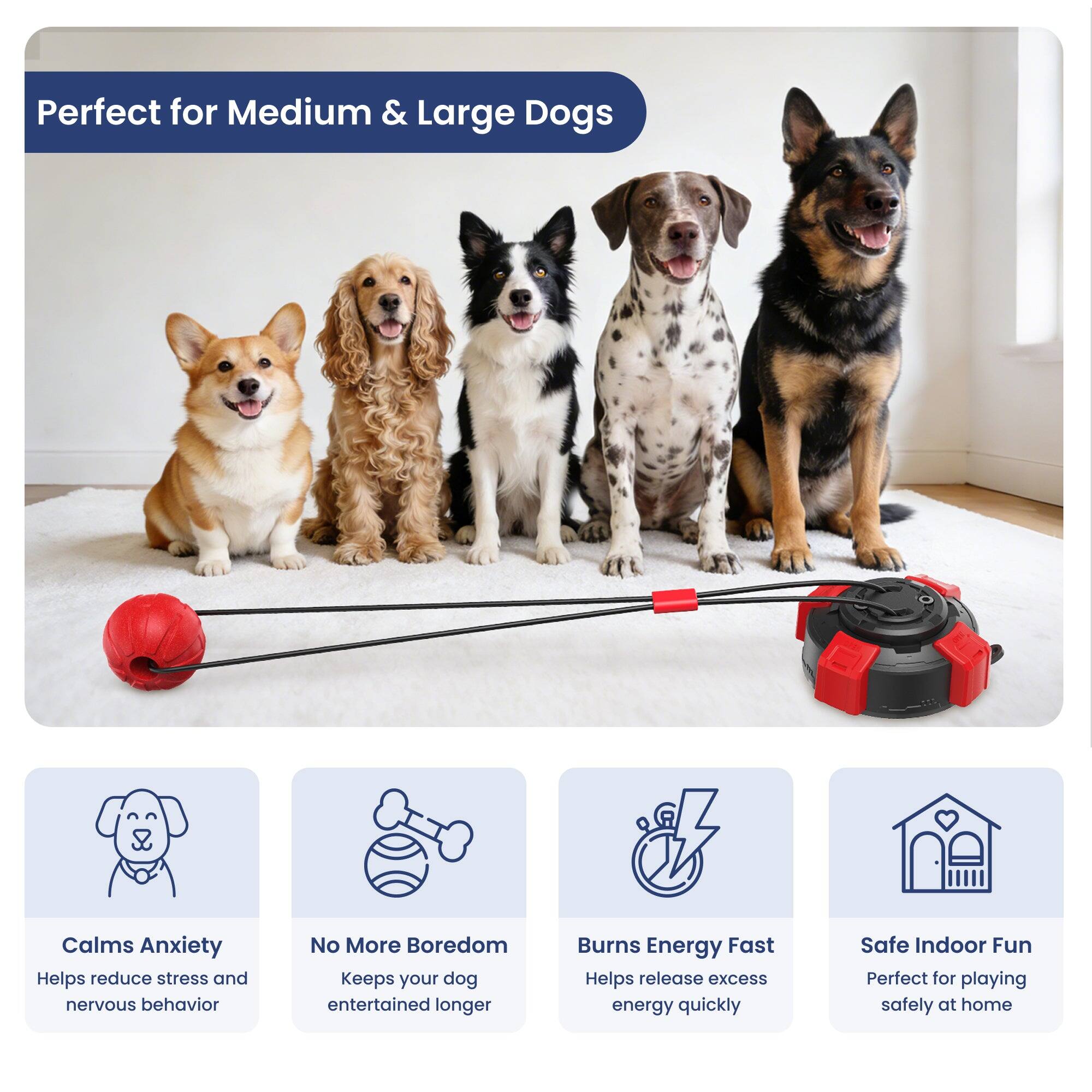 Perfect for Medium & Large Dogs

- Calms Anxiety
  - Helps reduce stress and nervous behavior

- No More Boredom
  - Keeps your dog entertained longer

- Burns Energy Fast
  - Helps release excess energy quickly

- Safe Indoor Fun
  - Perfect for playing safely at home