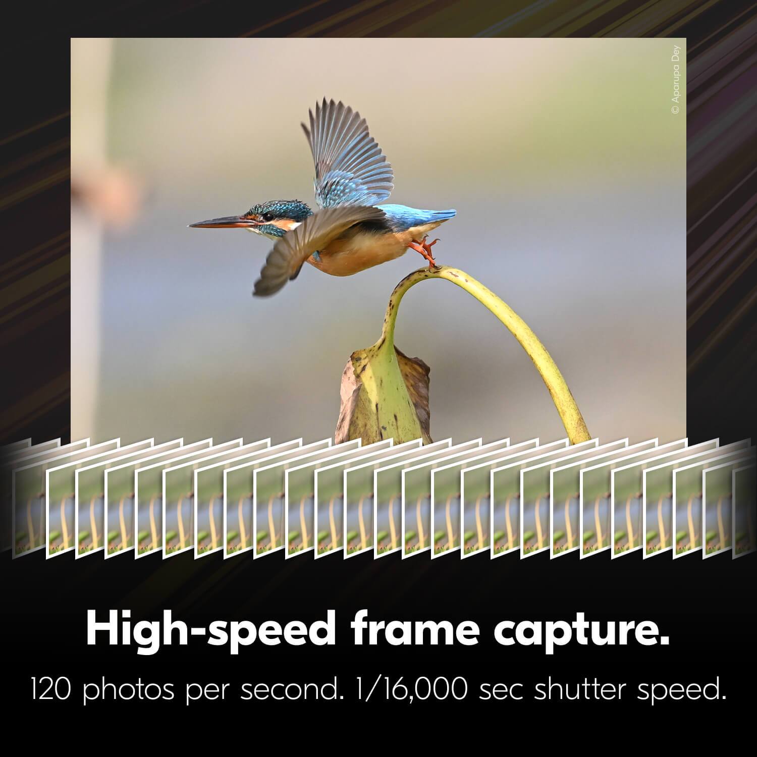 High-speed frame capture.  
120 photos per second.  
1/16,000 sec shutter speed.