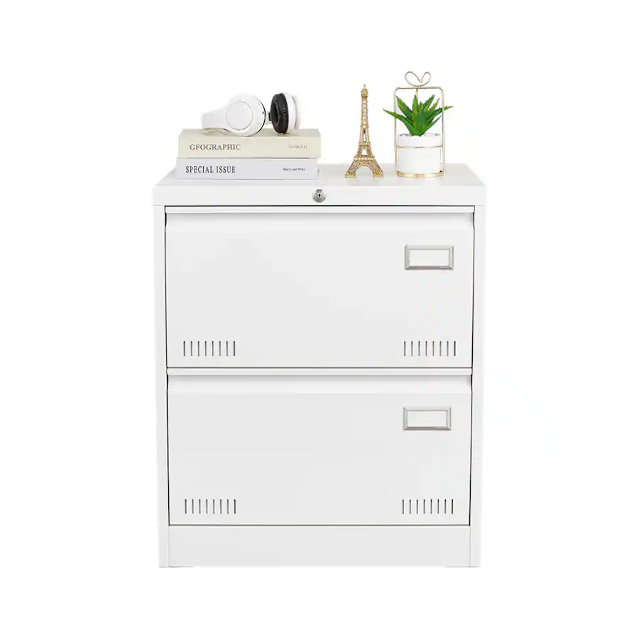 HTUTWOO 2 Drawer Lateral File Cabinet with Lock Office Vertical File ...
