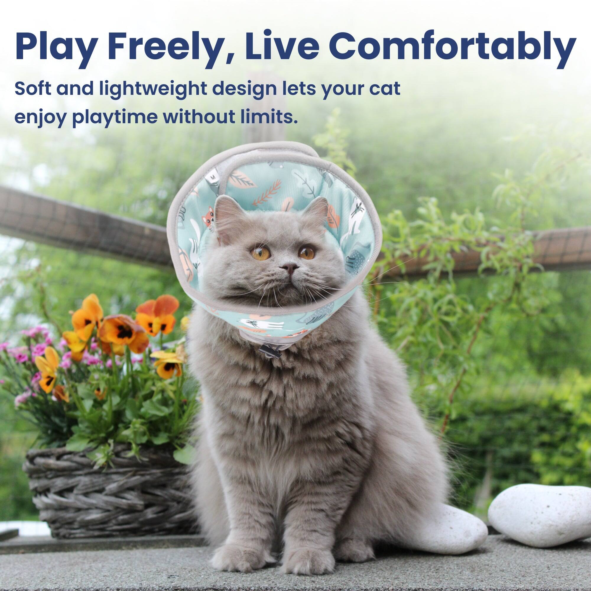 Play Freely, Live Comfortably  
Soft and lightweight design lets your cat enjoy playtime without limits.