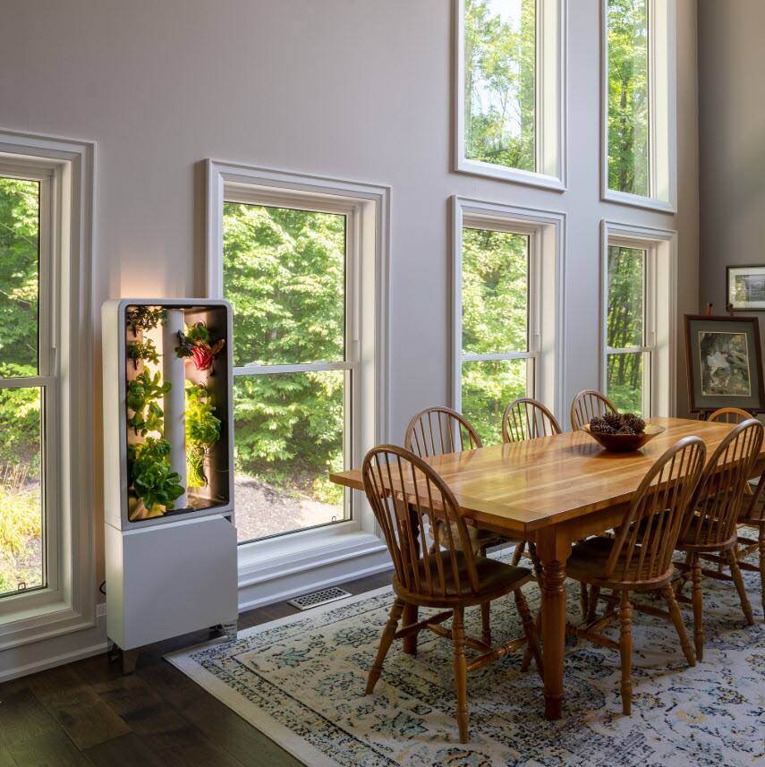 media item thumbnail