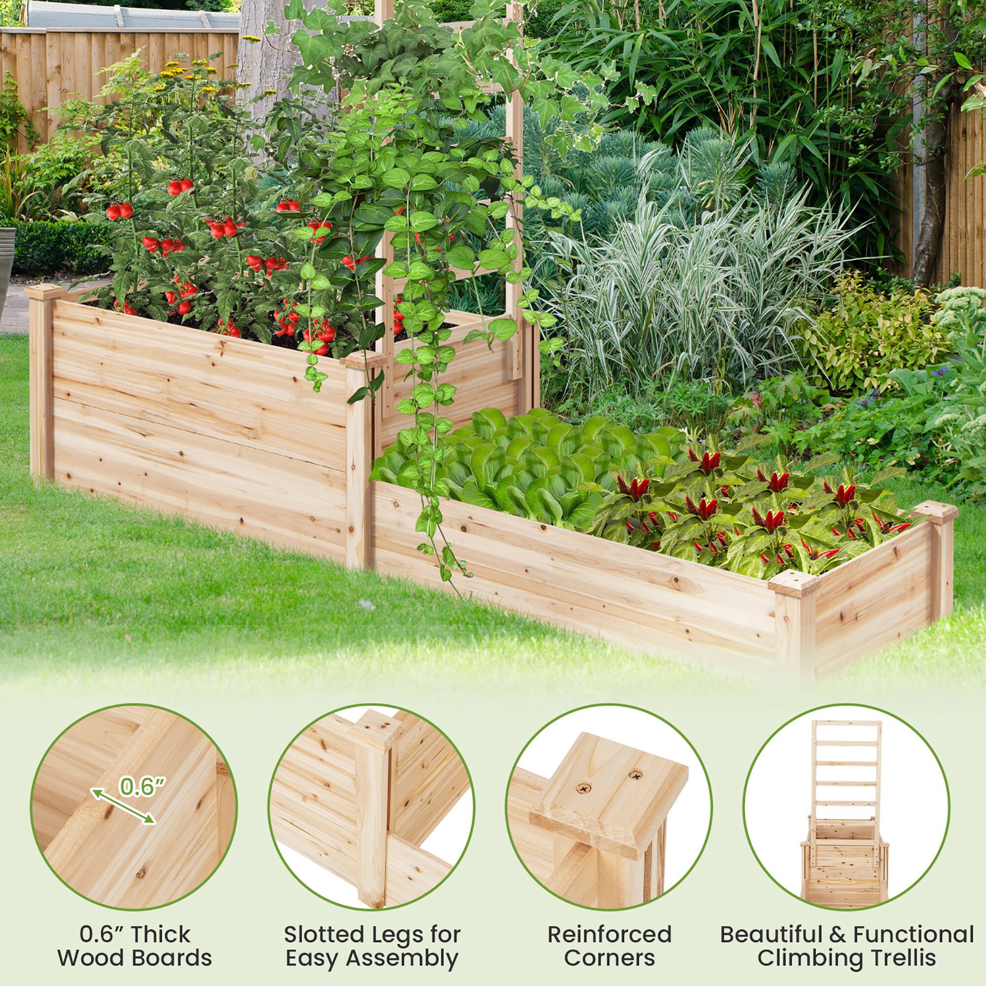 0.6" Thick Wood Boards  
Slotted Legs for Easy Assembly  
Reinforced Corners  
Beautiful & Functional Climbing Trellis