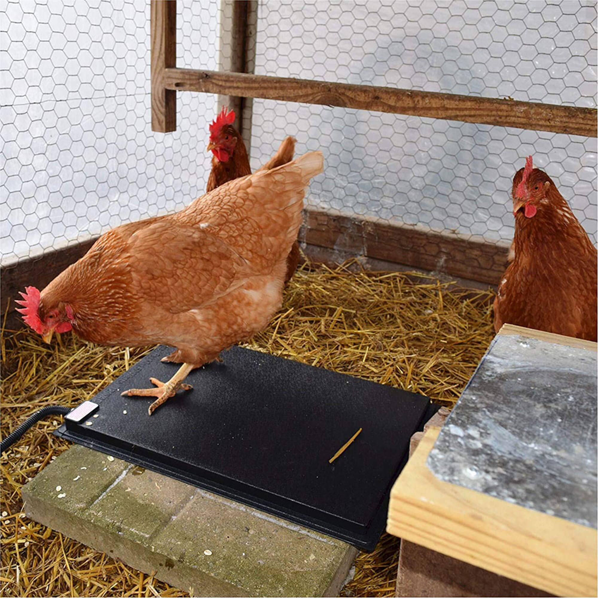 Alt View 2. Farm Innovators - Farm Innovators 19 x 13 In Heated Chicken Mat for Coops & Nesting Areas (3 Pack) - Black.