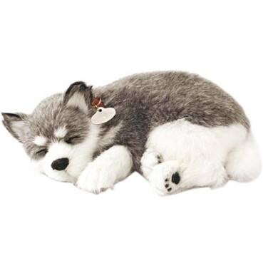 Alt View Standard 20. Perfect Petzzz - Stuffed Animal Toy.