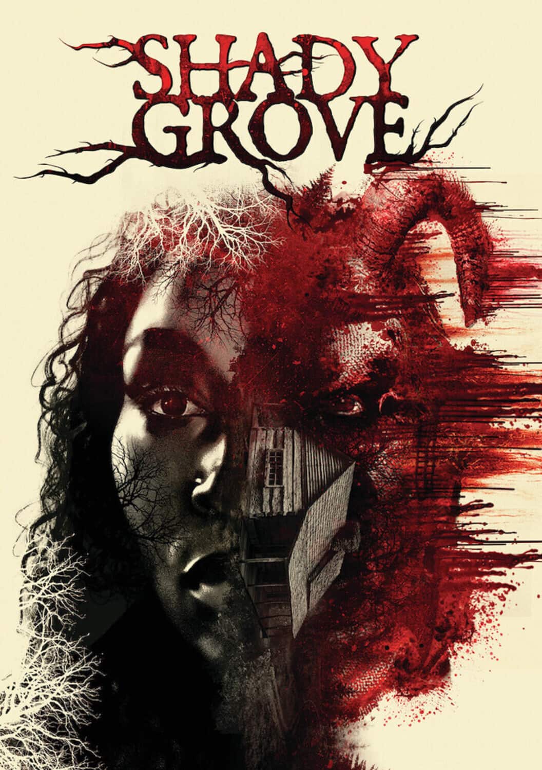 Shady Grove  - DVD