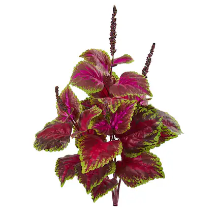 Front. BreeBe - 23" Coleus Bush Artificial Plant (Set of 6) - Green.