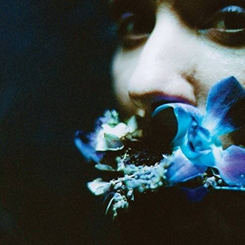 Circuit des Yeux - Reaching for Indigo   - 12-INCH SINGLE [12 inch Vinyl Single] price history on PriceWatchPro