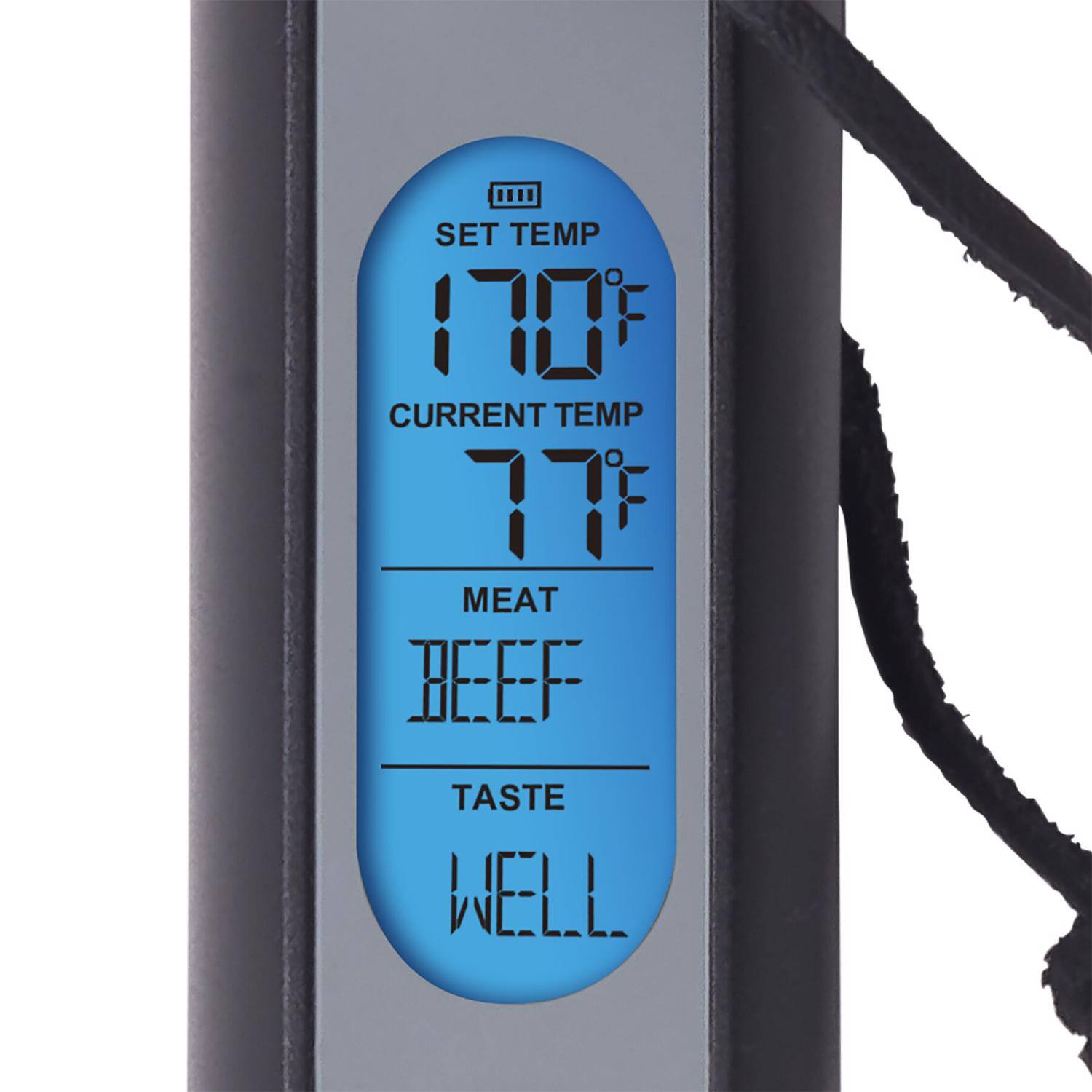 SET TEMP 170°F  
CURRENT TEMP 77°F  
MEAT BEEF  
TASTE WELL