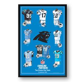 Sporticulture - Carolina Panthers 27" x 39" Uniform Heritage Framed Art Print - Multicolor