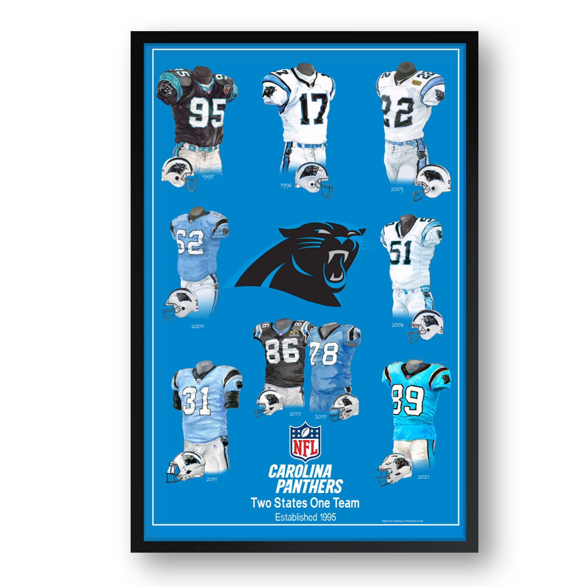 Carolina Panthers 27" x 39" Uniform Heritage Framed Art Print