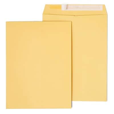 "Staples - EasyClose Self Seal #10 1/2 Kraft Catalog Envelope, 9"" x 12"", 250/Box (ST479888-CC) - Brown" price history on PriceWatchPro