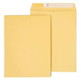 Staples - EasyClose Self Seal #10 1/2 Kraft Catalog Envelope, 9" x 12", 250/Box - Brown