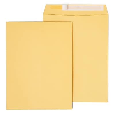 Front. Staples - EasyClose Self Seal #10 1/2 Kraft Catalog Envelope, 9" x 12", 250/Box - Brown.
