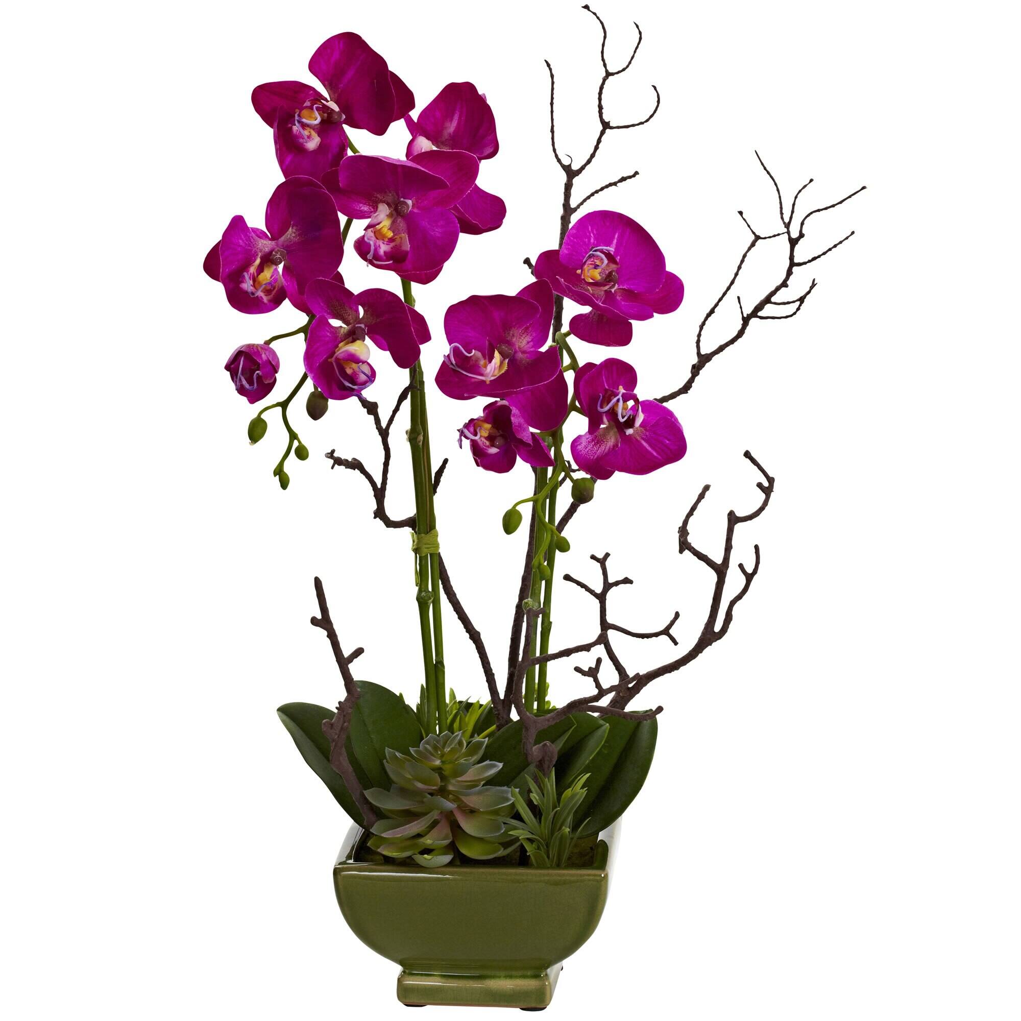 Front. BreeBe - 21" Orchid & Succulent Arrangement - Purple.