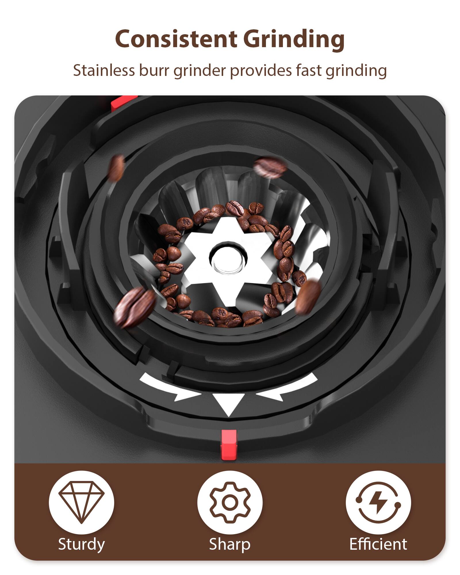 Consistent Grinding  
Stainless burr grinder provides fast grinding  

Sturdy  
Sharp  
Efficient