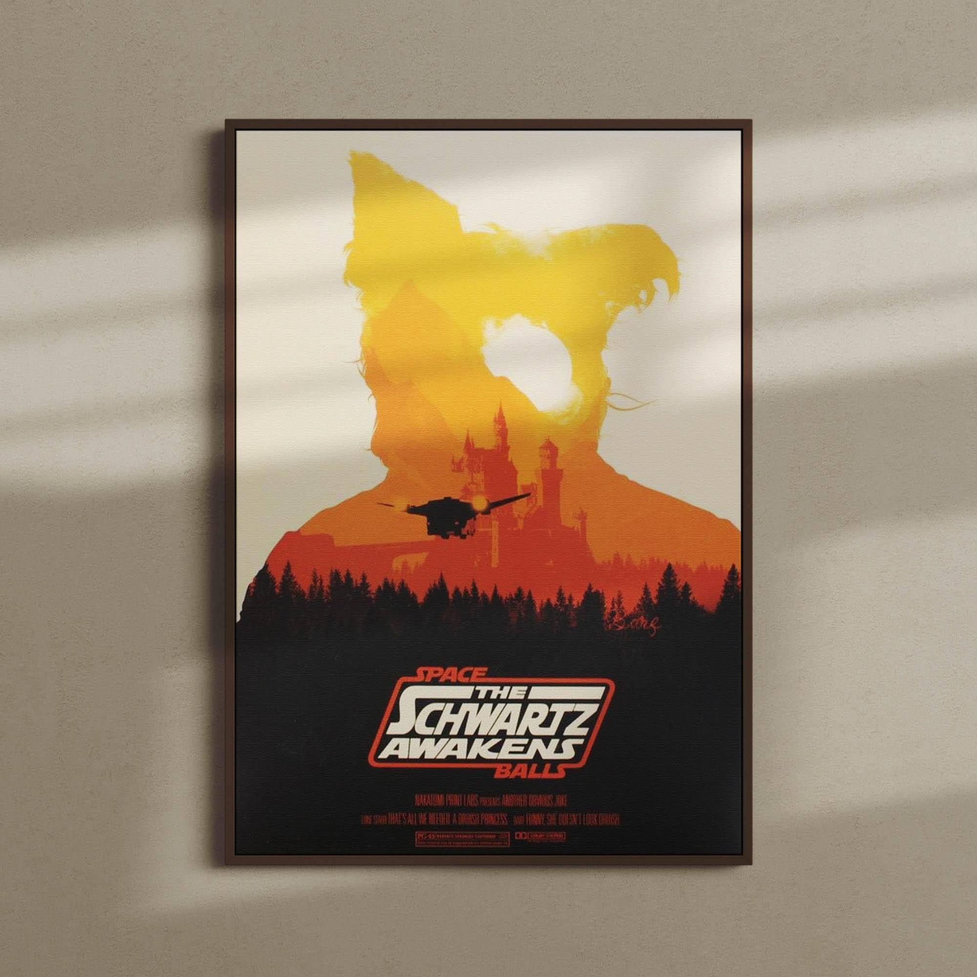 SPACE THE SCHWARTZ AWAKENS BALLS