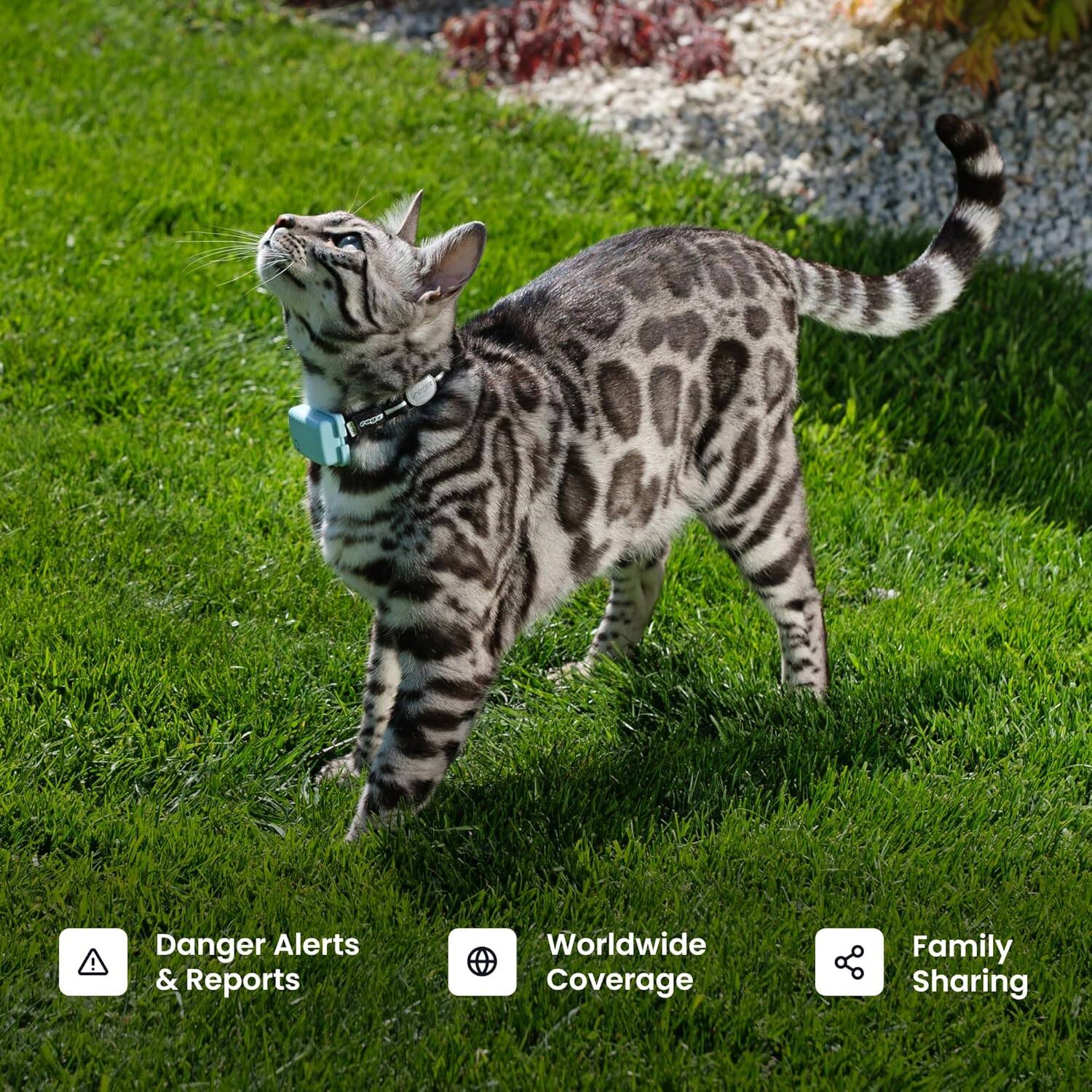 Danger Alerts & Reports, Worldwide Coverage, Family Sharing