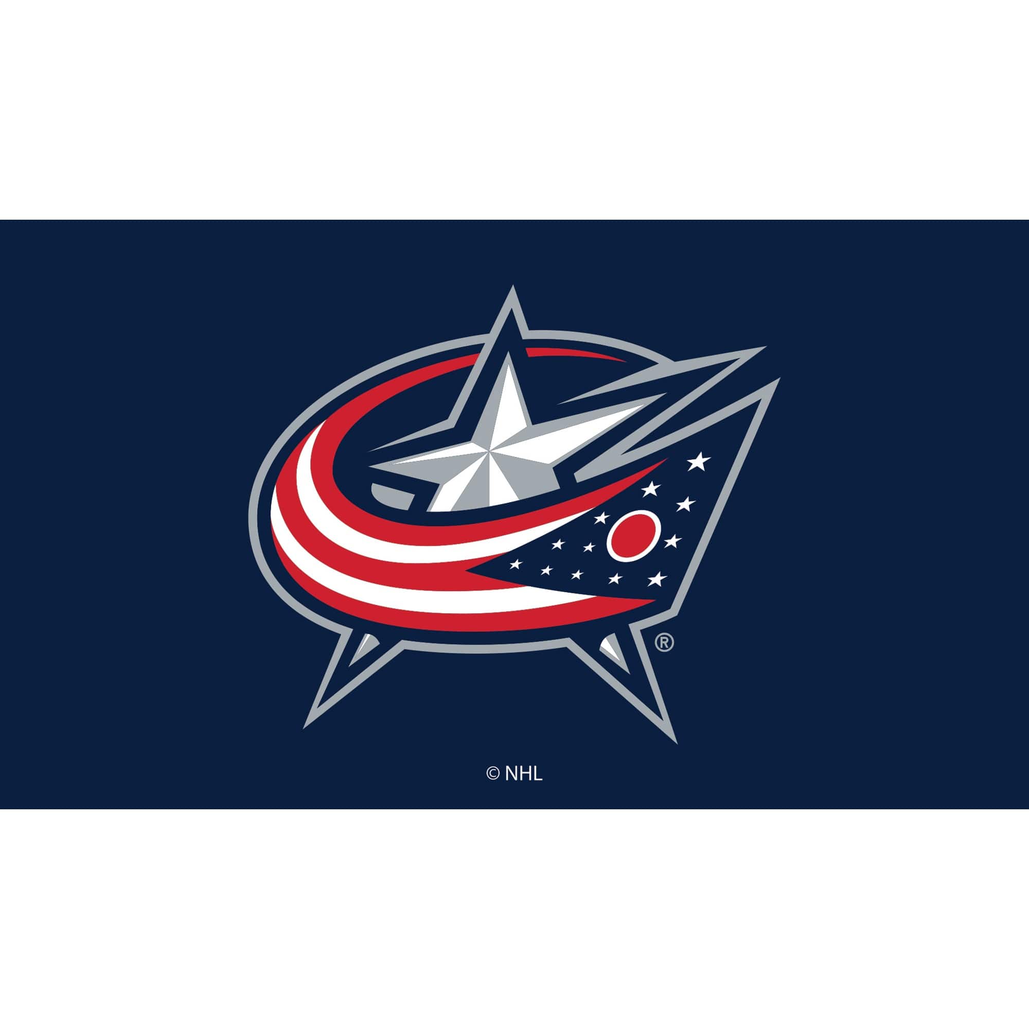 Evergreen Enterprises - Columbus Blue Jackets 28" x 16" Turf Mat - Multicolor