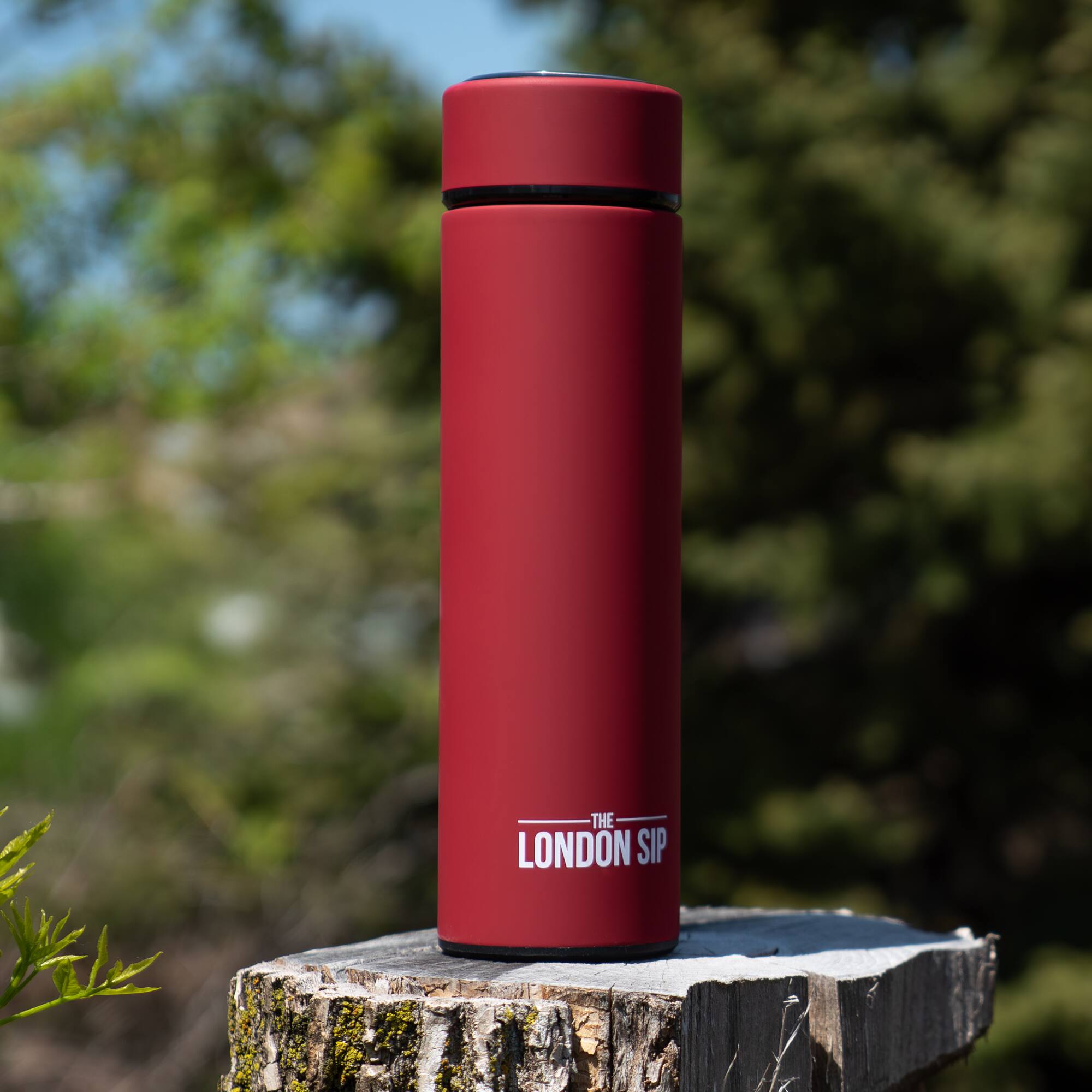 THE LONDON SIP