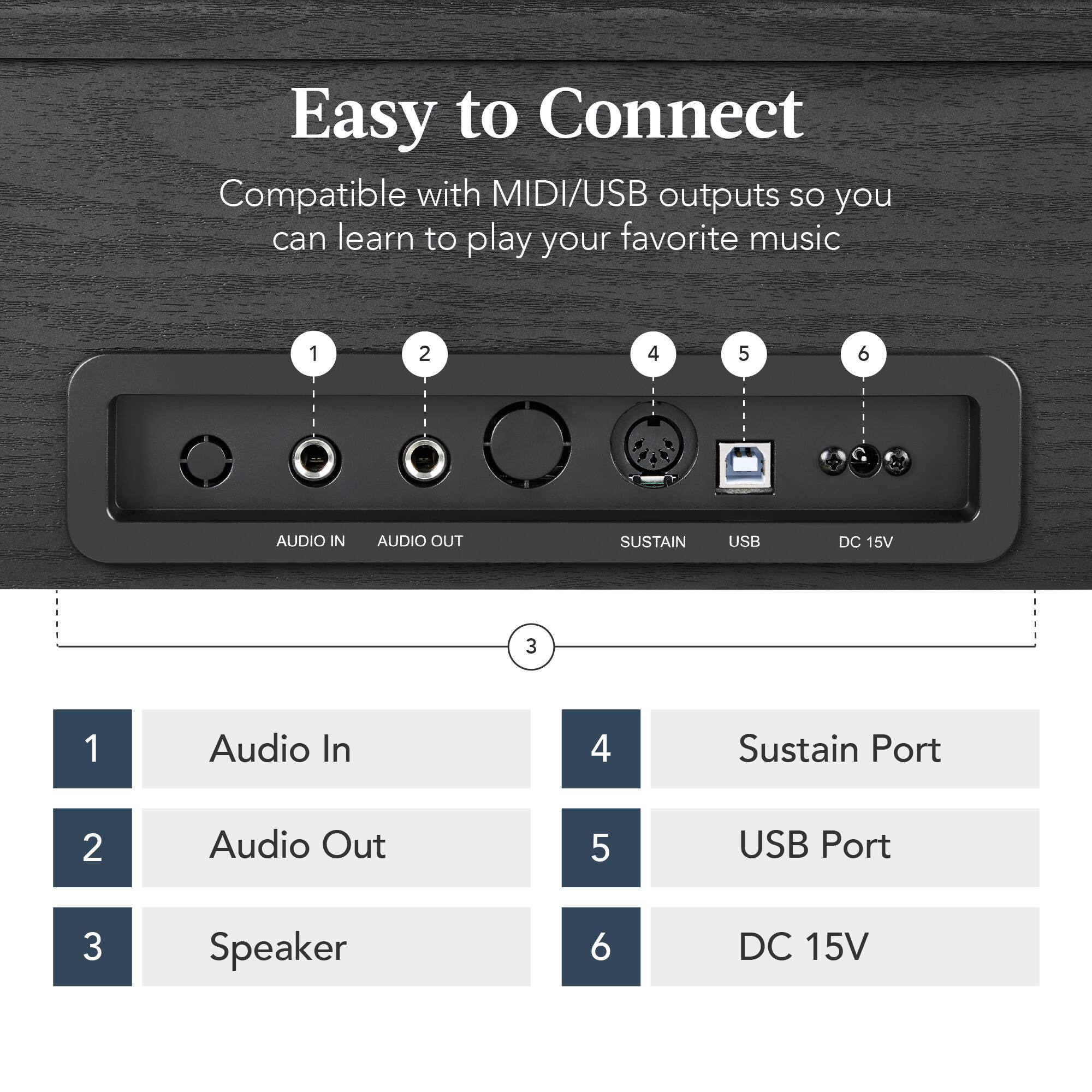 Easy to Connect

Compatible with MIDI/USB outputs so you can learn to play your favorite music

1. Audio In
2. Audio Out
3. Speaker
4. Sustain Port
5. USB Port
6. DC 15V