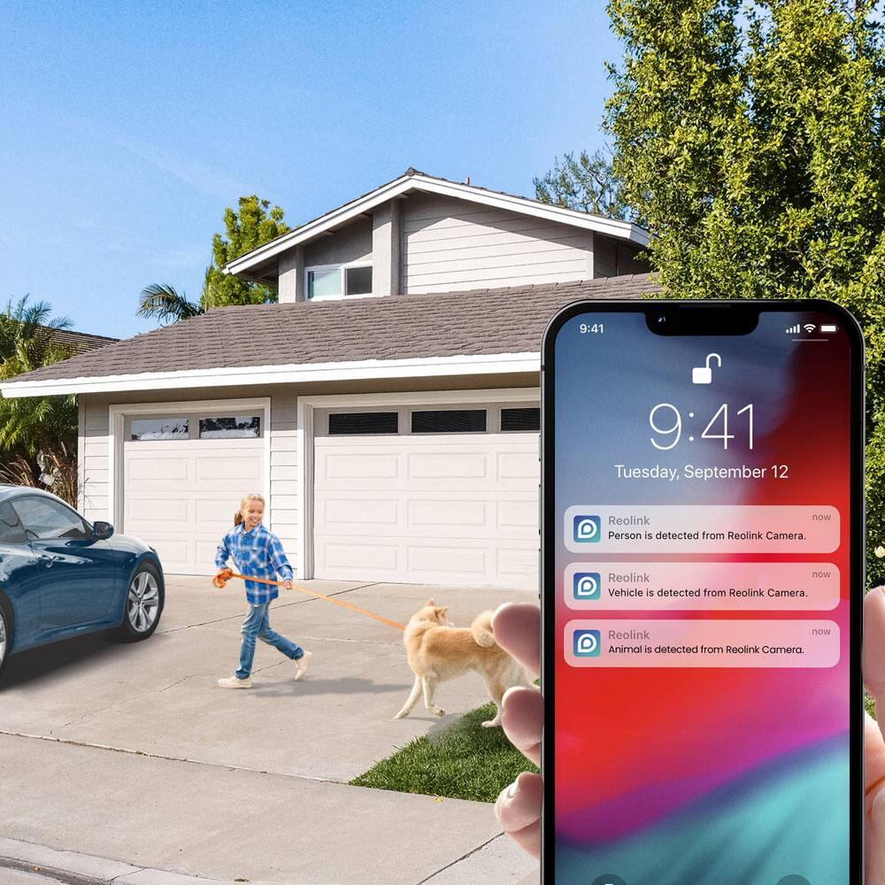 The text on the image reads: "9:41 all Tuesday, September 12 Reolink now Person is detected from Reolink Camera. Reolink now Vehicle is detected from Reolink Camera. Reolink now Animal is detected from Reolink Camera."