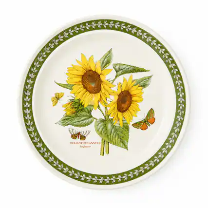 Helianthus Annuus Sunflower