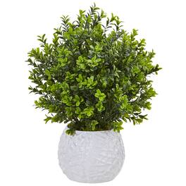 BreeBe - 17" Boxwood in White Vase (Indoor/Outdoor) - Multicolor 1