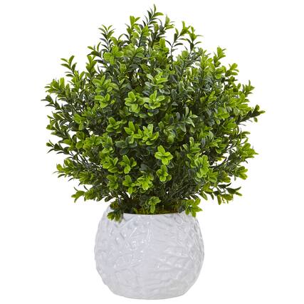 Front. BreeBe - 17" Boxwood in White Vase (Indoor/Outdoor) - Multicolor 1.