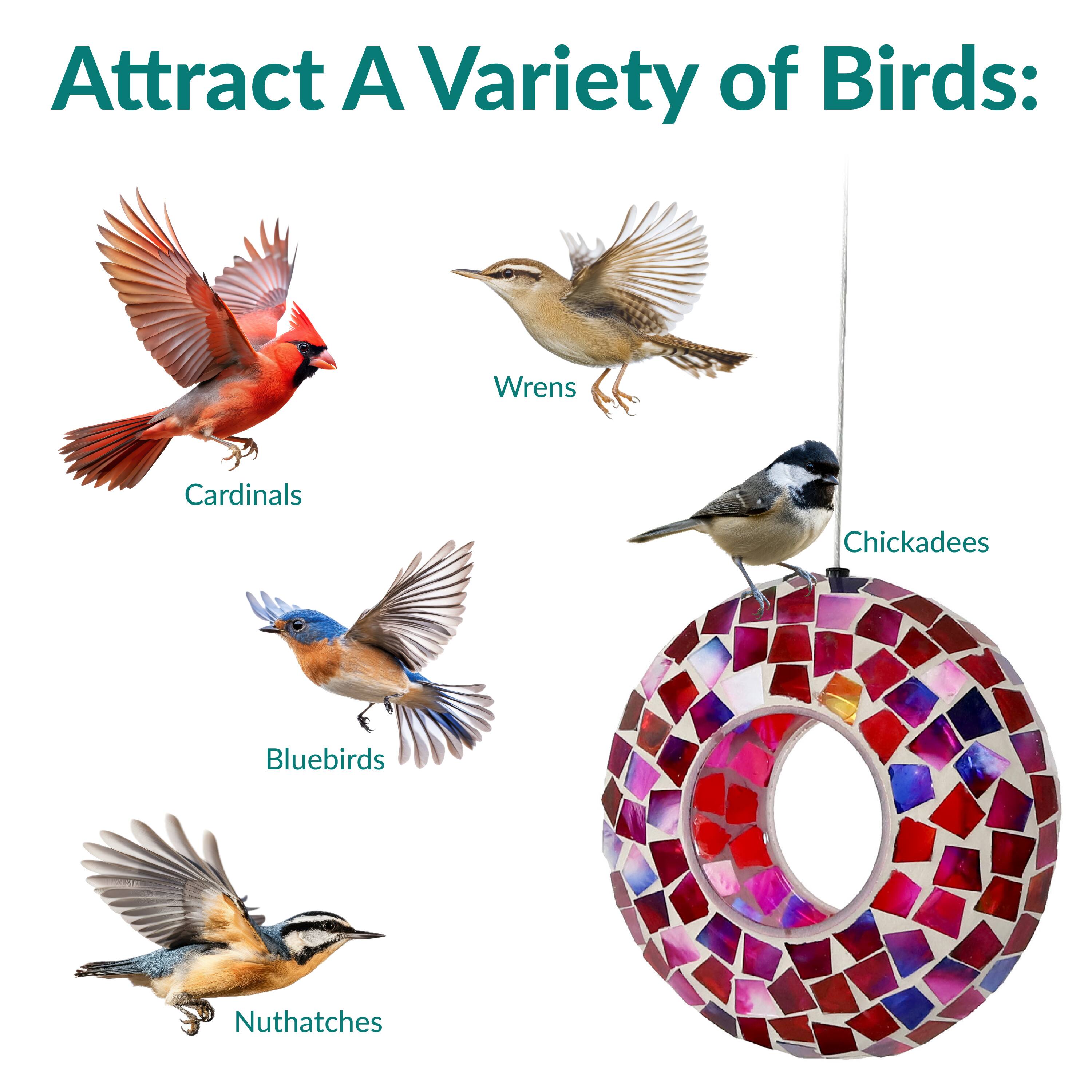 Attract A Variety of Birds:

- Cardinals
- Wrens
- Chickadees
- Bluebirds
- Nuthatches
