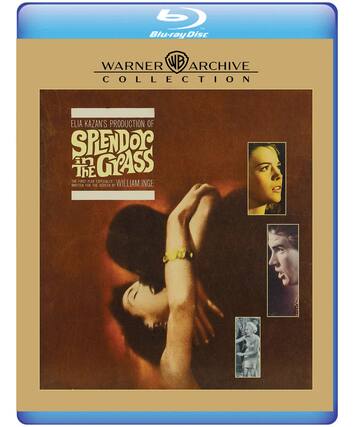 Front. His Kind of Woman - BluRay.