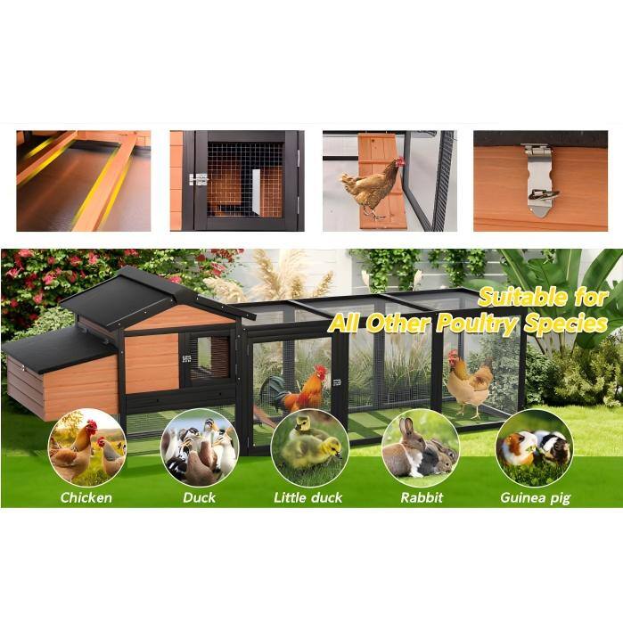 Suitable for All Other Poultry Species

- Chicken
- Duck
- Little duck
- Rabbit
- Guinea pig