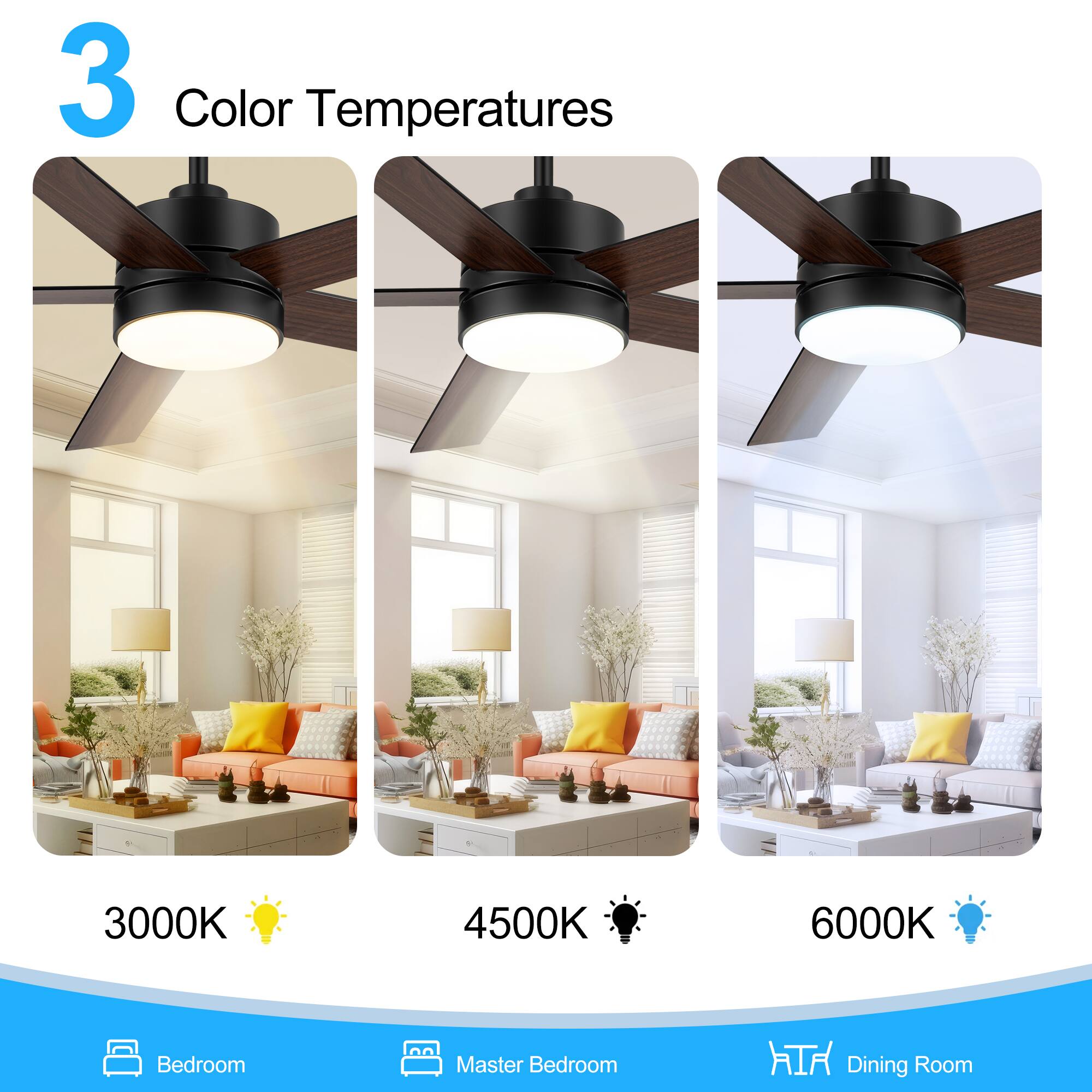 3 Color Temperatures
3000K
4500K
6000K
Bedroom
Master Bedroom
Dining Room