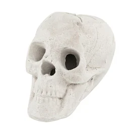 Boyel Living - Spooky Skull Fire Pit Decor for Halloween - White
