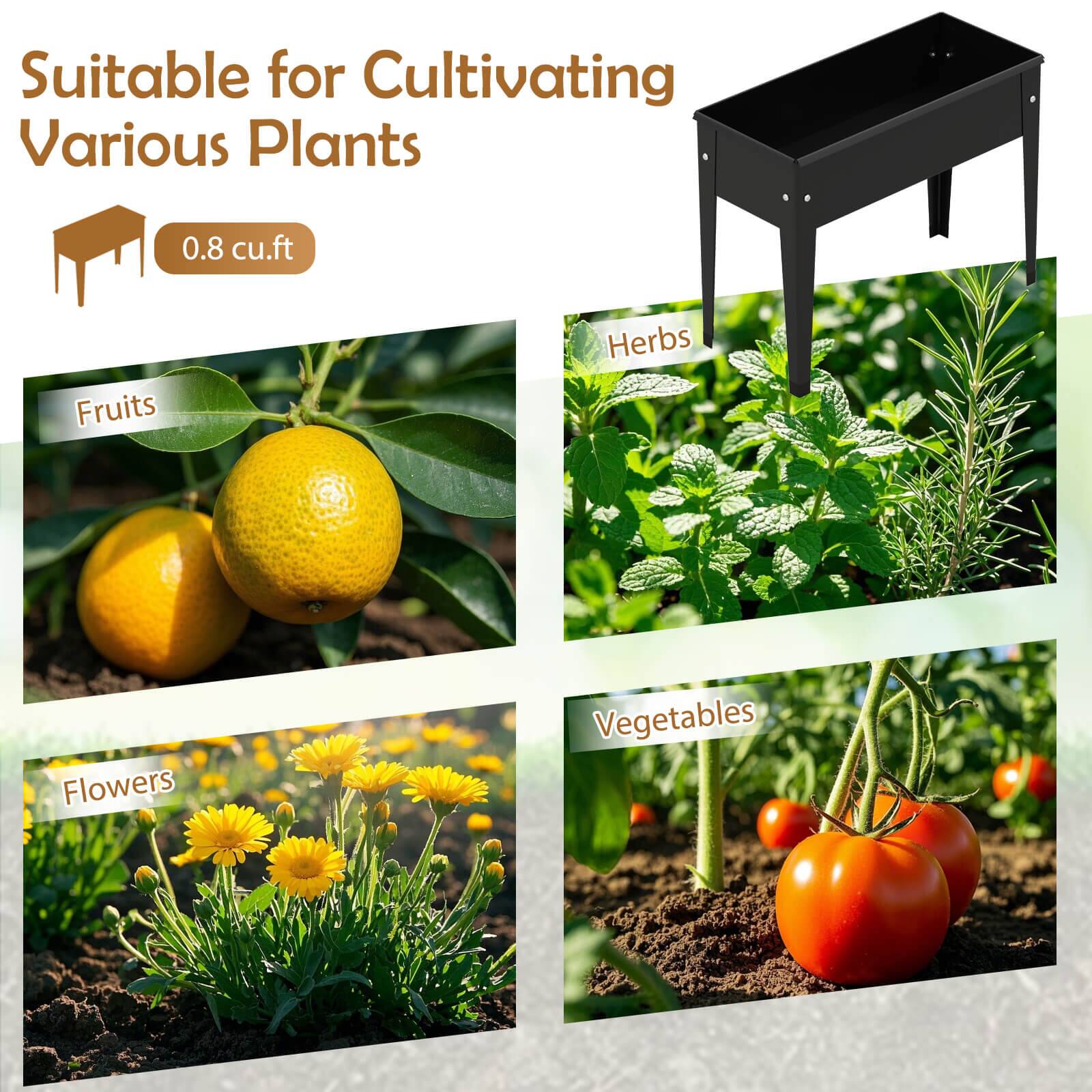 Suitable for Cultivating Various Plants  
0.8 cu.ft  
Fruits  
Herbs  
Flowers  
Vegetables