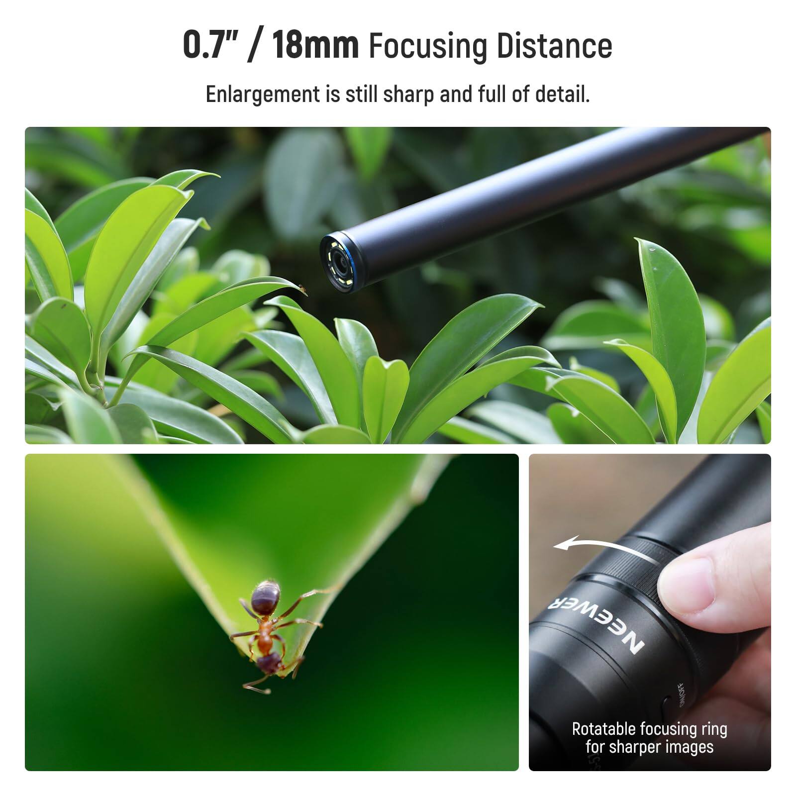0.7" / 18mm Focusing Distance  
Enlargement is still sharp and full of detail.  
NEEWER Rotatable focusing ring for sharper images