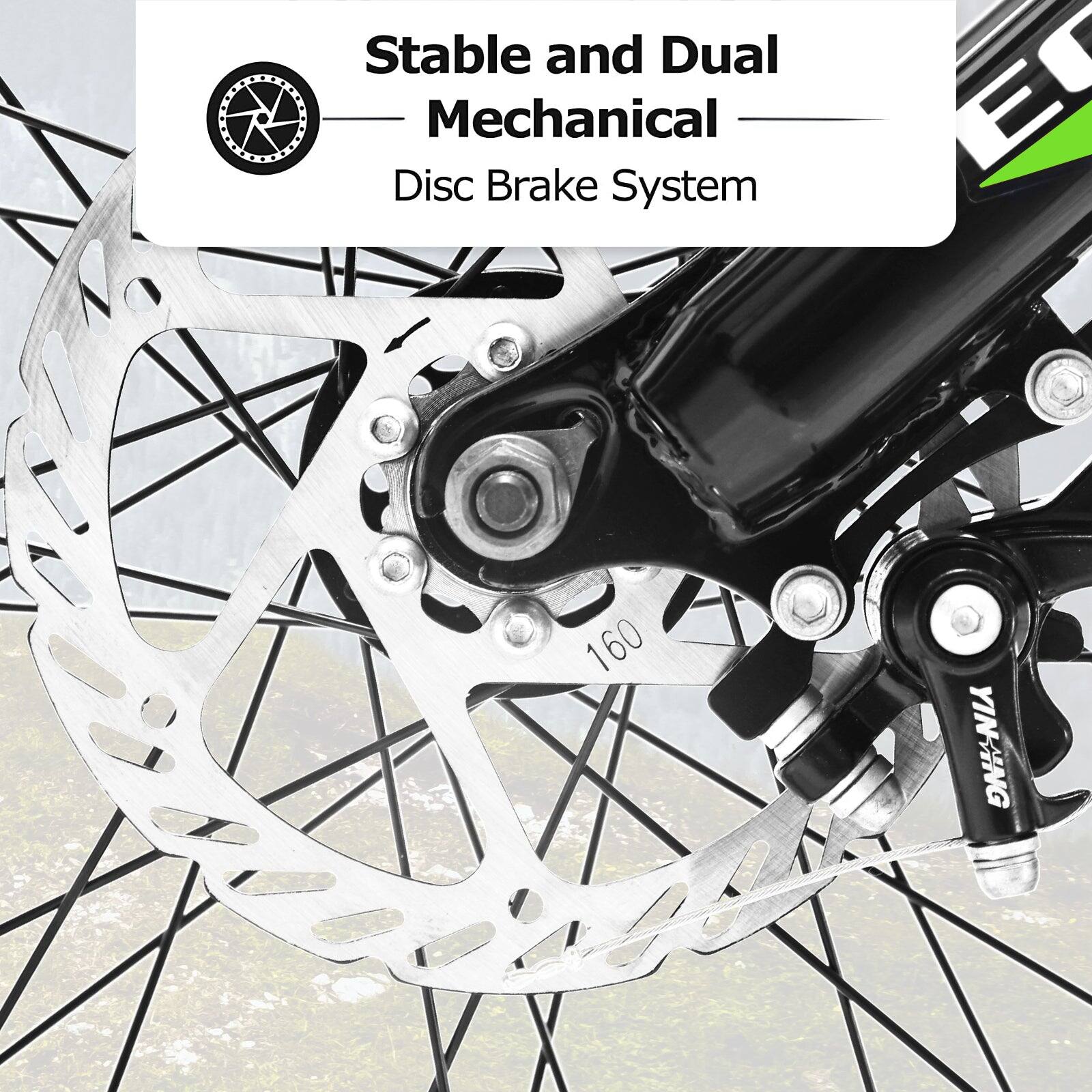 Stable and Dual Mechanical Disc Brake System