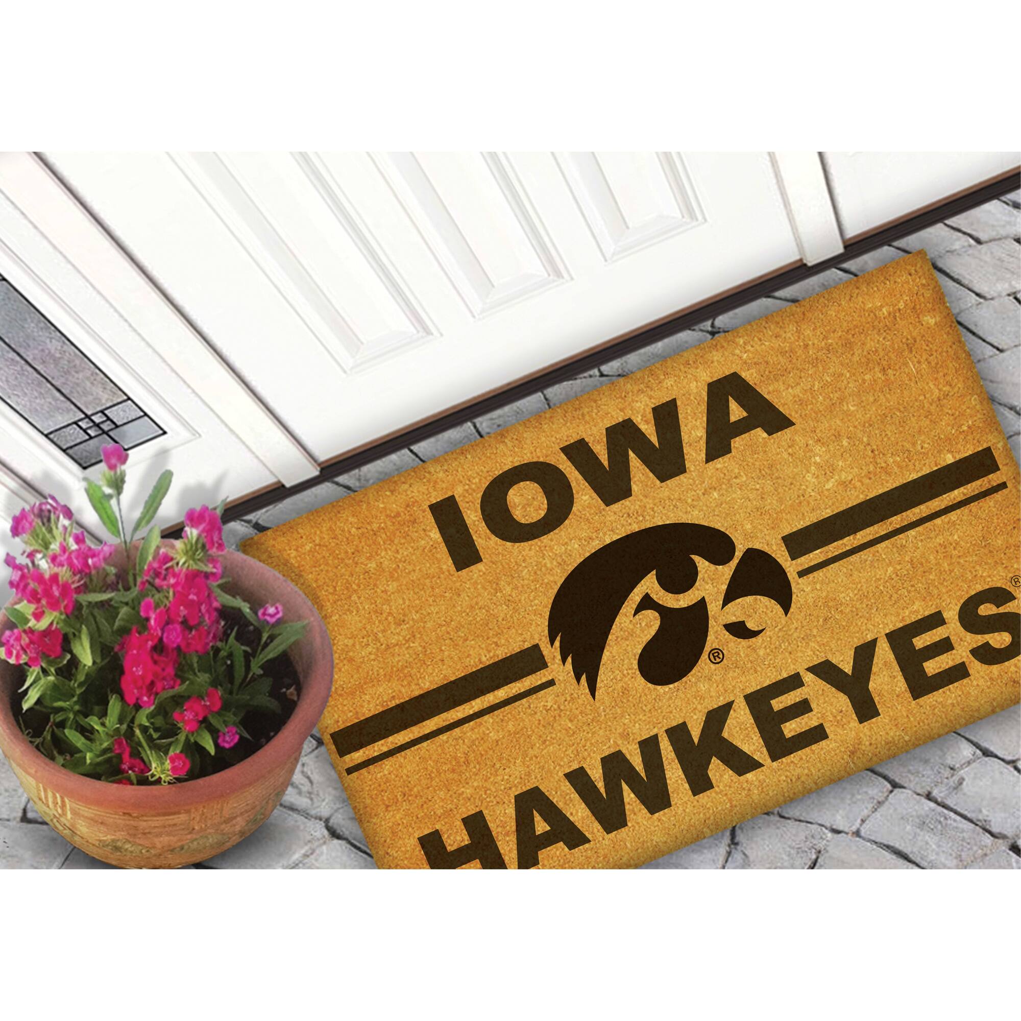 IOWA HAWKEYES