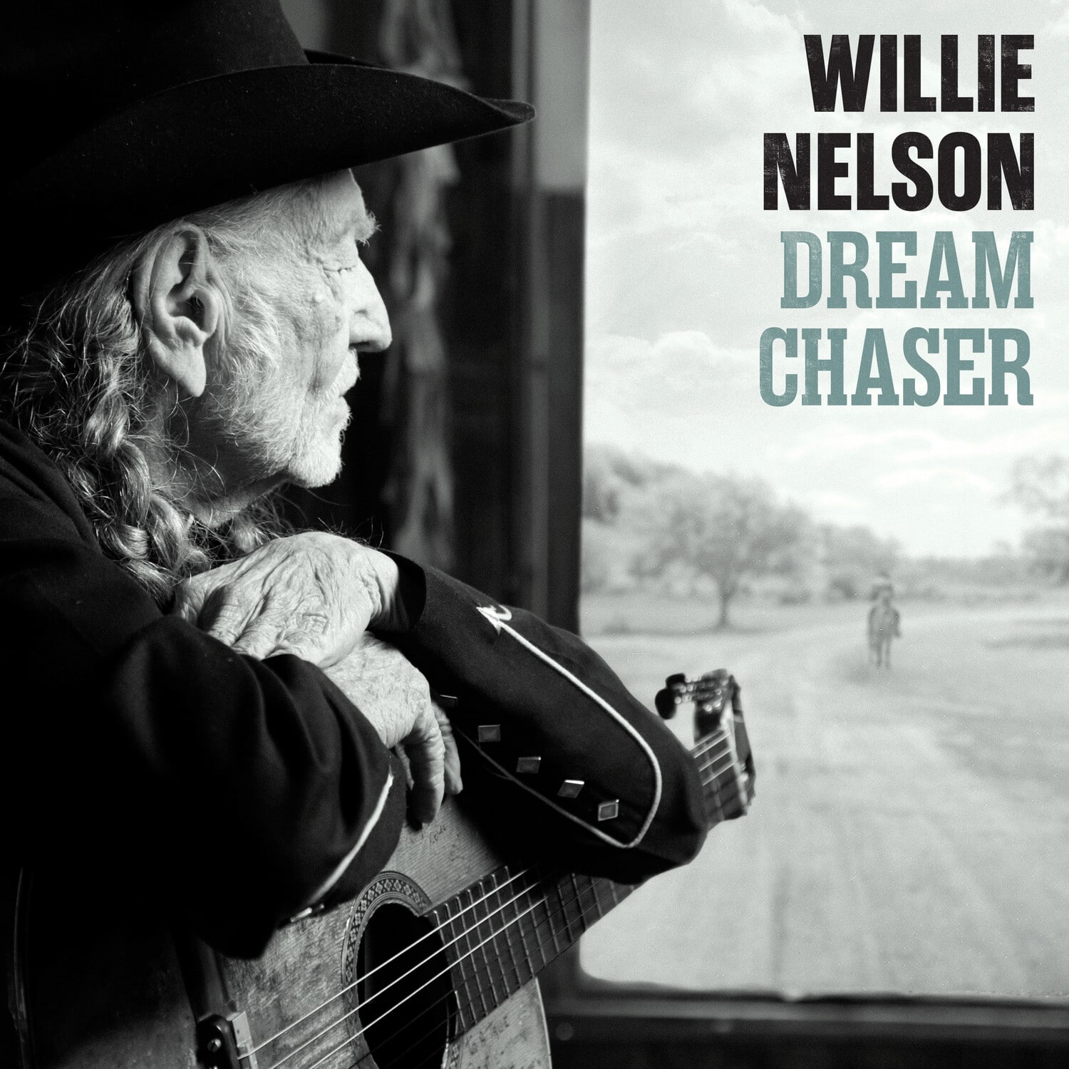 Willie Nelson - Dream Chaser   - VINYL LP price history on PriceWatchPro