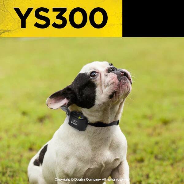 YS300 dogtra  
Copyright © Dogtra Company All rights reserved