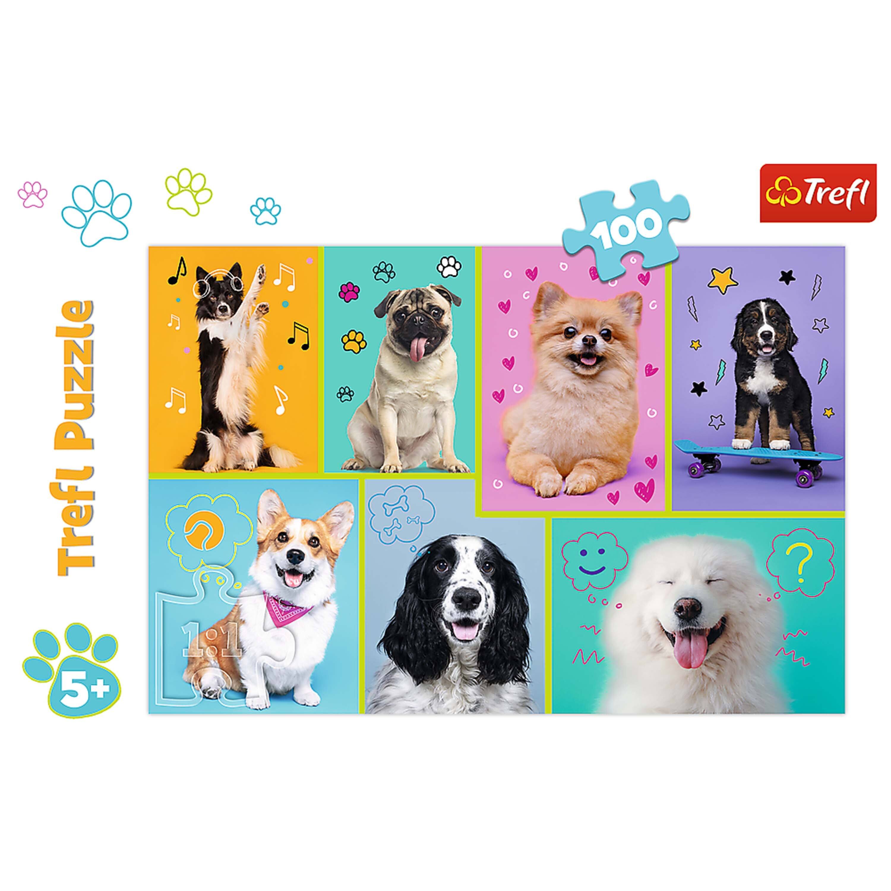 Trefl Puzzle  
5+  
100  
Trefl