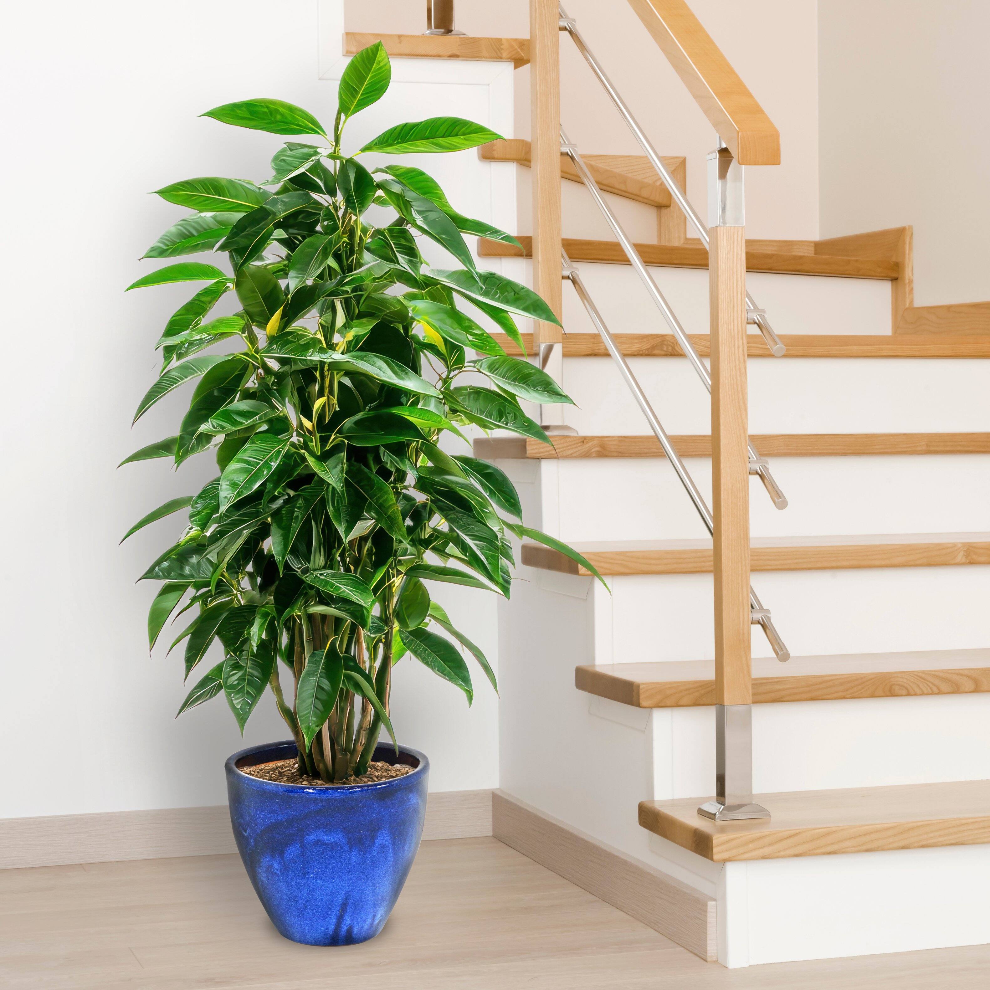 Alt View 9. Sunnydaze - 13.5 in Resort High-Fired Glazed Ceramic Planter - Imperial Blue.