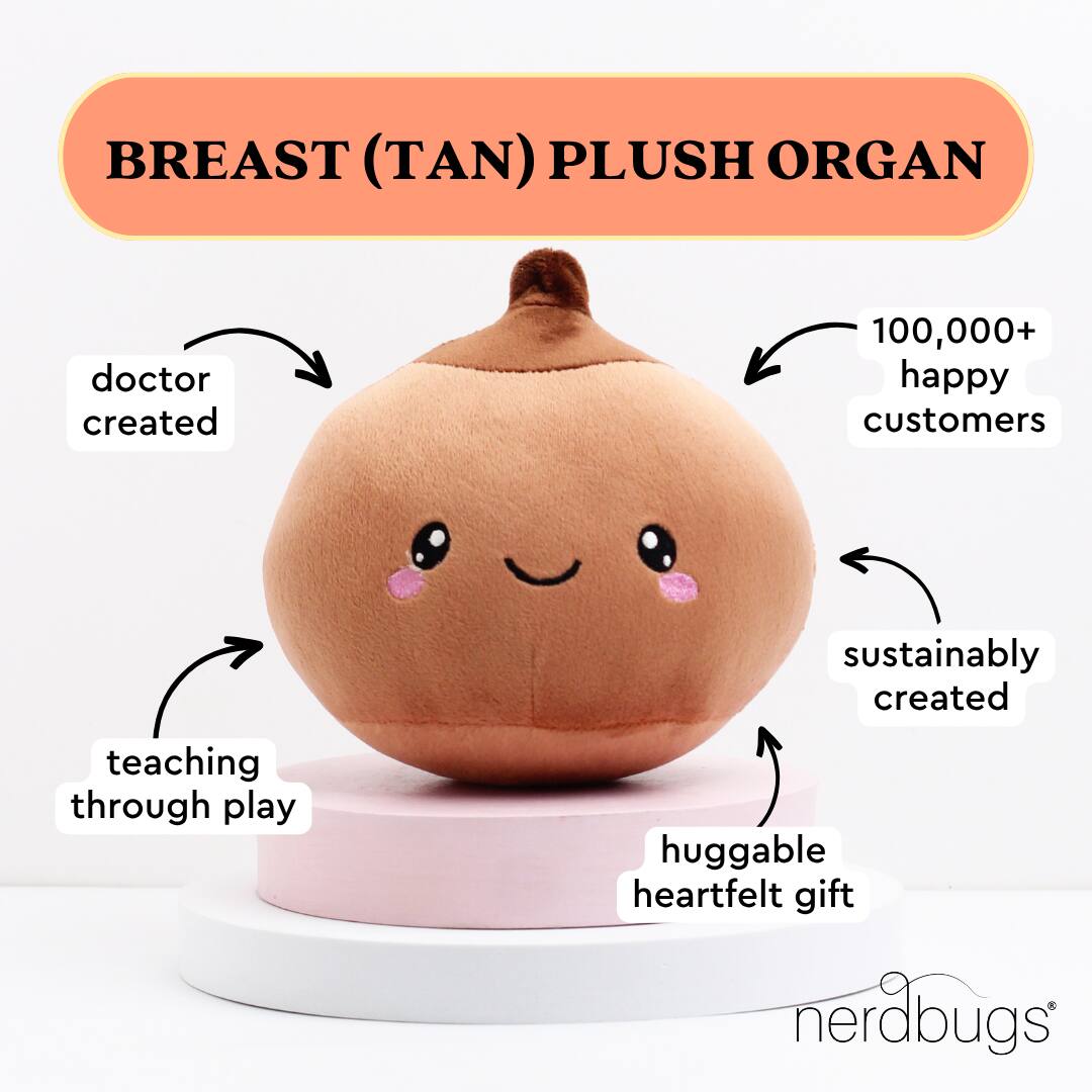 BREAST (TAN) PLUSH ORGAN

- doctor created
- teaching through play
- sustainably created
- huggable heartfelt gift
- 100,000+ happy customers

nerdbugs®