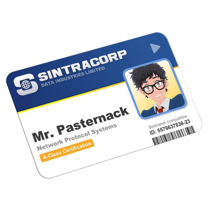 SINTRACORP  
DATA INDUSTRIES LIMITED  

Mr. Pasternack  
Network Protocol Systems  
A-Class Certification  

SINTRACORP compatible Systems  
ID: 5576637836-23