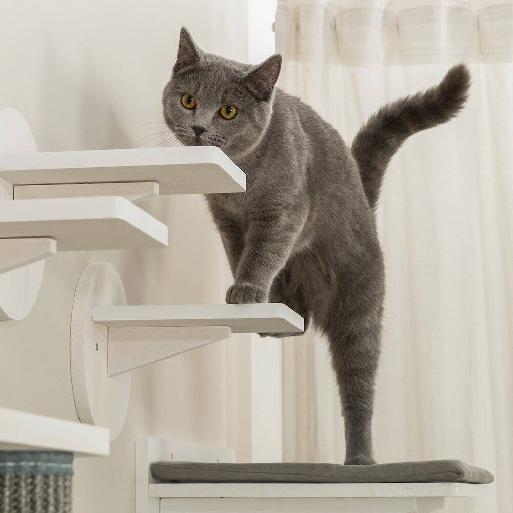 Alt View 2. TRIXIE - Wall Set 6 Wall Mounted Cat Perch System, Scratching Posts, Platforms, Steps - White/Gray.