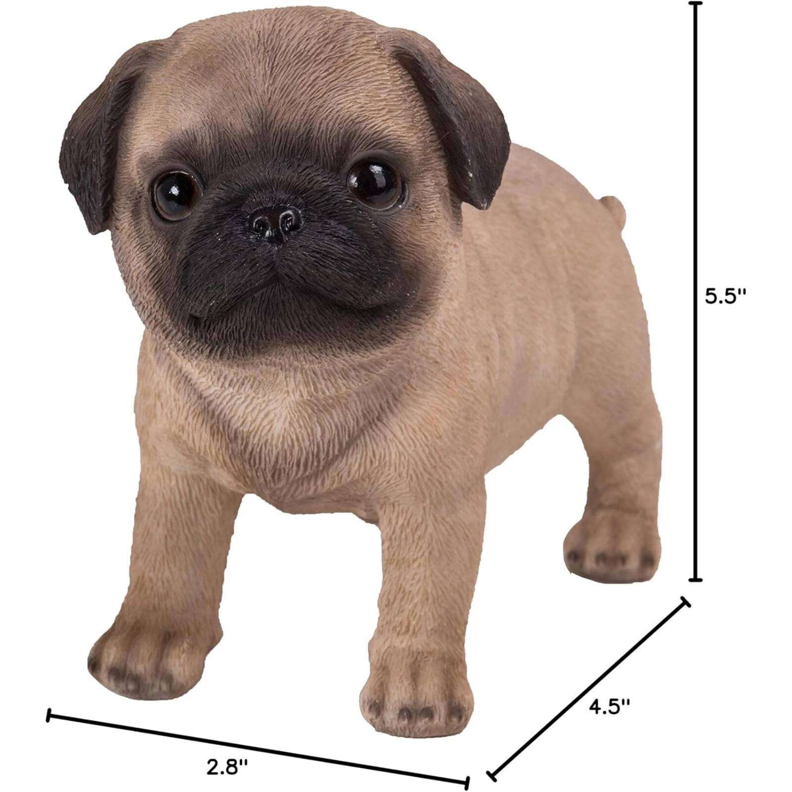 5.5"  
4.5"  
2.8"