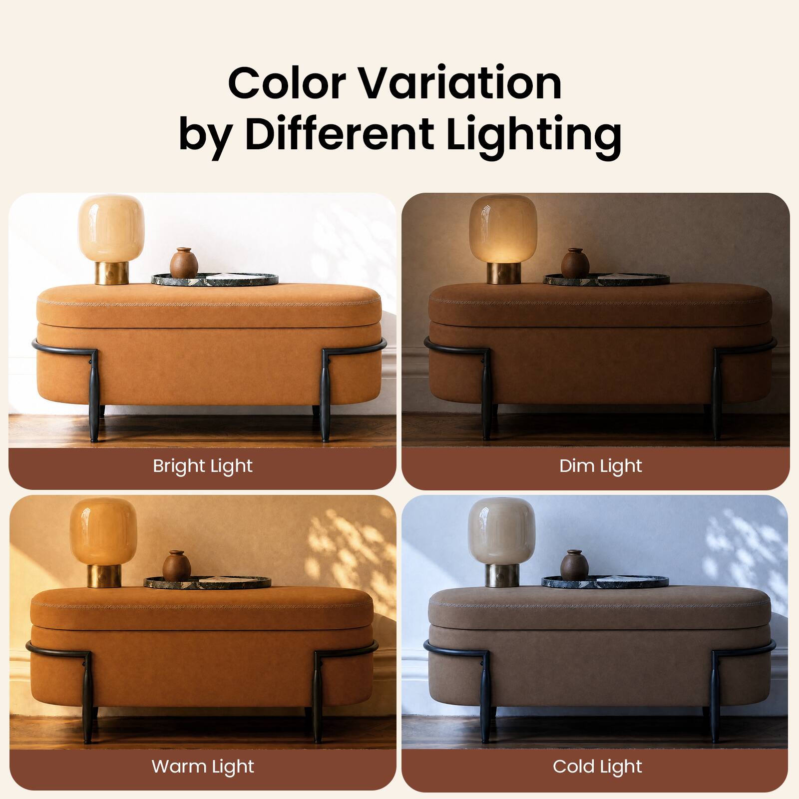 Color Variation by Different Lighting

- Bright Light
- Dim Light
- Warm Light
- Cold Light